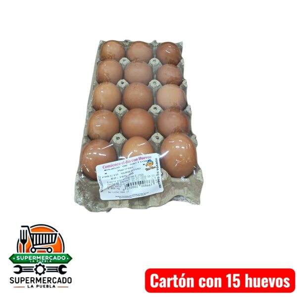 Cartón con 15 huevos