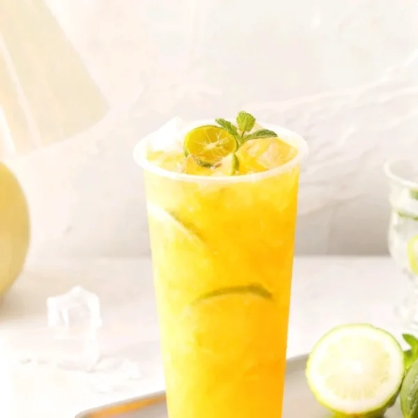 B18.Te batido granizado de mango 700ml