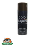 Pintura en spray bronce #132 Color expert 400ml