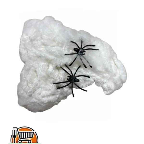 Decoración de tela araña con dos arañas
