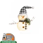 Muñeco de nieve con gorro de nieve